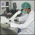 workin under microscope.JPG