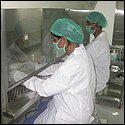 working with biosefty-cabinet.JPG