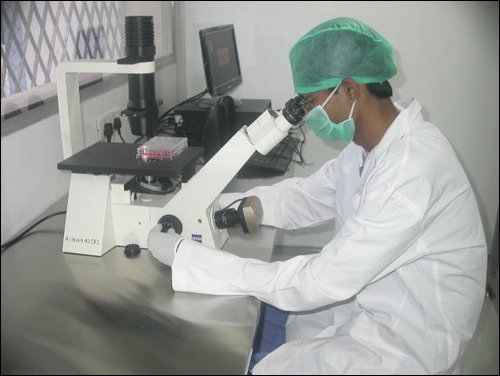 workin under microscope.JPG