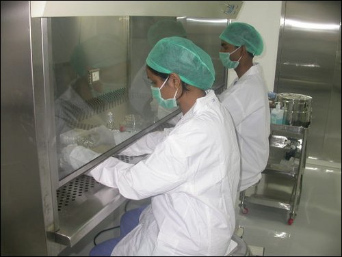 working with biosefty-cabinet.JPG